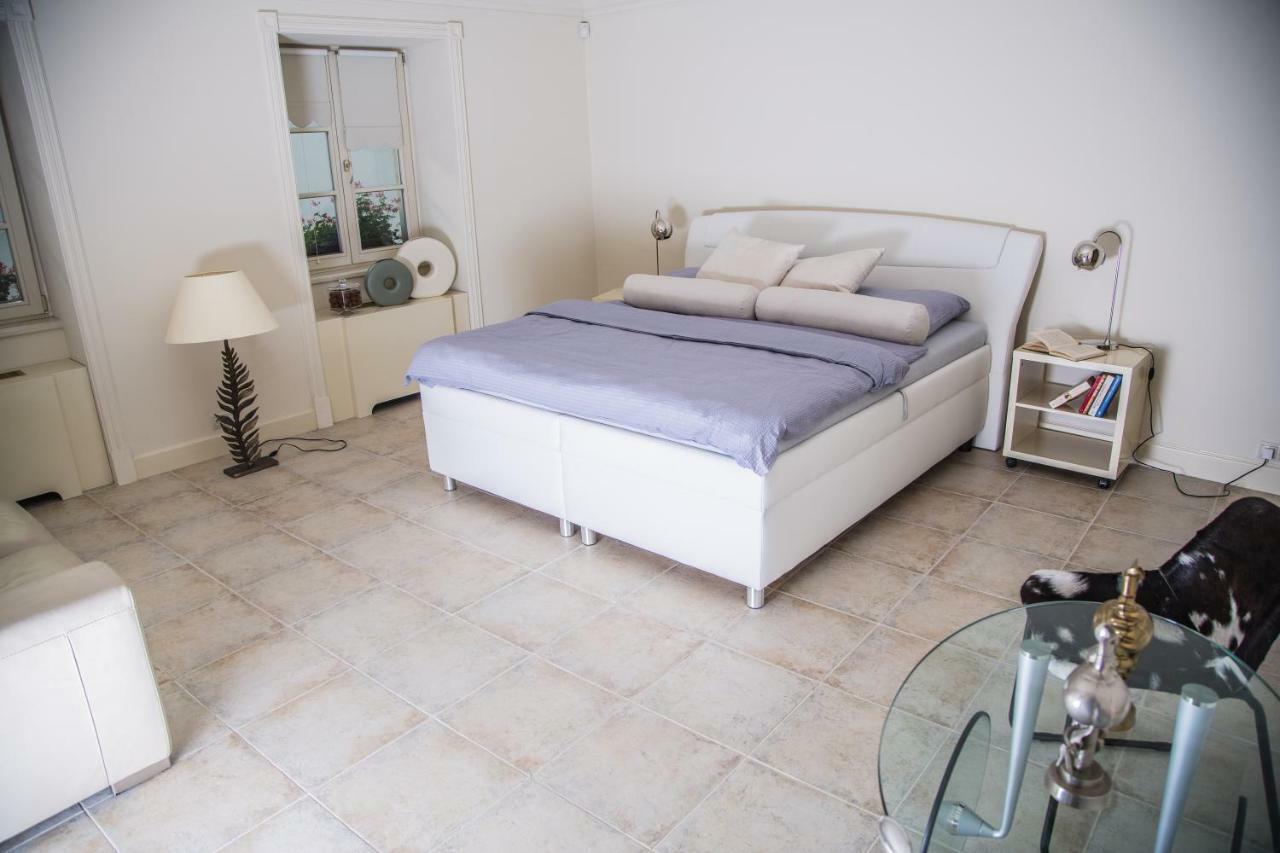 President Boutique Apartment II Брно Экстерьер фото
